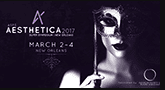 Aesthetica Banner March 2017